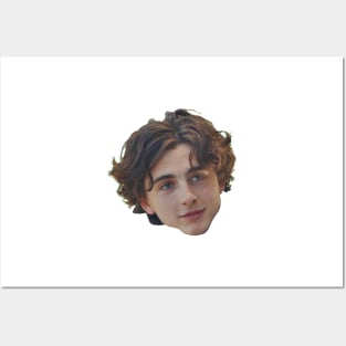 Thimotée Chalamet Posters and Art